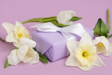 Gift box with beautiful tulips and daffodil flowers on lilac background