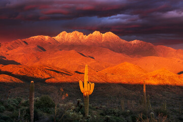 Arizona desert sunset with the Four Peaks mountains
