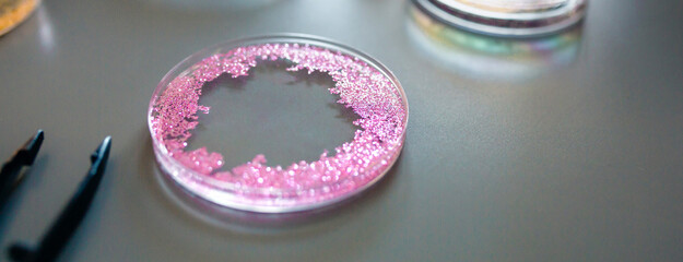 Banner of petri dish with pink glitter sample mixed in analysis fluid over a table in pharmaceutical research lab. Eliminate dangerous microplastics to humans and environment concept.