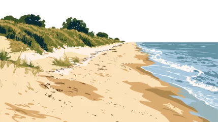 Foto op Canvas Beautiful sandy beach on Hel Peninsula Baltic sea Pol © RedFish