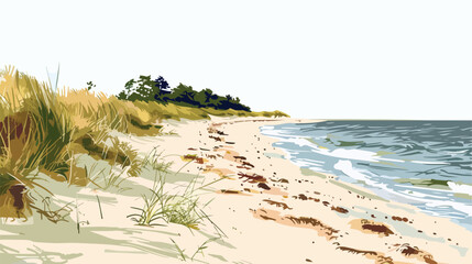 Beautiful sandy beach on Hel Peninsula Baltic sea Pol
