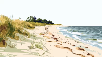 Foto op Plexiglas Beautiful sandy beach on Hel Peninsula Baltic sea Pol © RedFish