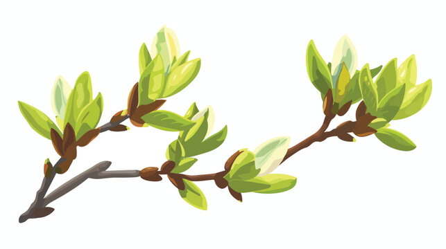 Blooming green bud in spring. Baby vector  flat vector