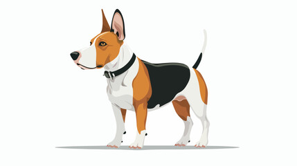 Bull terrier with black collar flat vector isolated o