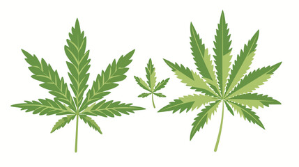 Cannabis sativa and indica marijuana leaves drug cons - obrazy, fototapety, plakaty