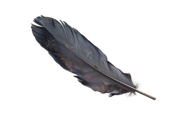 A Black Feather Soaring Through the Air