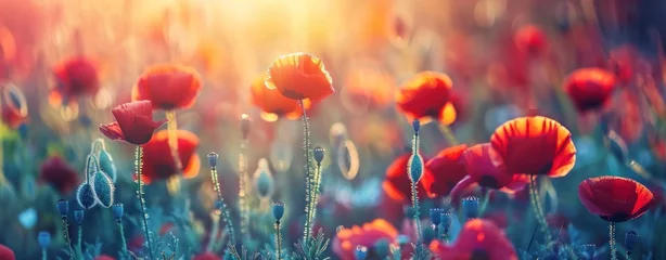 Fotobehang Glowing Dusk: Vibrant Poppy Field Illuminated by Setting Sun's Embrace - Generative AI © Gelpi