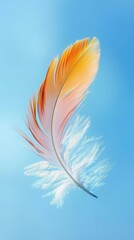Elegant orange and white feather on blue background