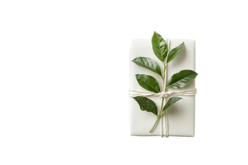 Green Leaf Adorning Wrapped Gift