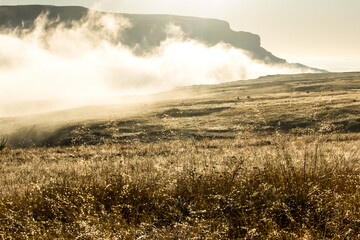 Golden sunrise over the mist covered grasslands of the high plateaus of Highmoor in the Drakensberg...