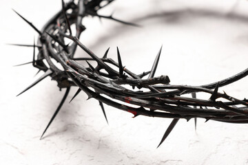 Crown of thorns on white grunge background, closeup. Good Friday concept