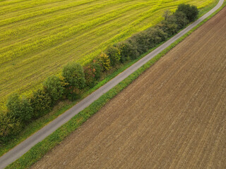 Aerial view of a path with farm fields in the countryside 