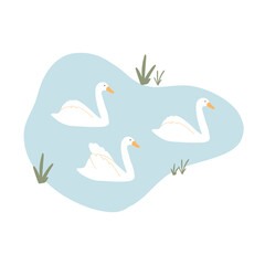 Fototapeta premium Beautiful swans swim on the lake. Vector illustration of swans on a pond. Hand drawn illustration in flat style.