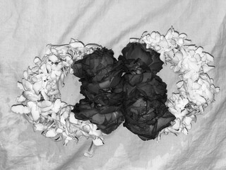white rose bangles flowers