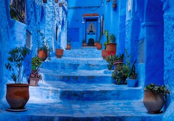 stairs with potted plants lead up to a house door in the blue city of Chefchaouen