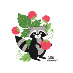 Vector illustration with adorable raccoon - 772837803