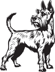 Fox Terrier  Vector - obrazy, fototapety, plakaty