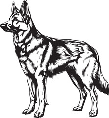 Fototapeta premium German Shepherd Vector