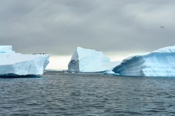 Iceberg on Antarctica with birds