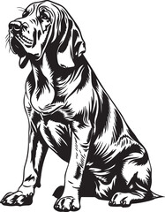Bloodhound  Vector - obrazy, fototapety, plakaty
