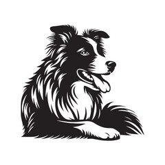 Elegant Vector Border Collie Dog Silhouette Showcasing Graceful Canine Profile in Artistic Detail- Border collie Vector Stock.