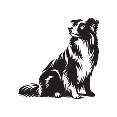 Elegant Vector Border Collie Dog Silhouette Showcasing Graceful Canine Profile in Artistic Detail- Border collie Vector Stock.
