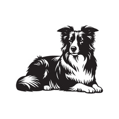Elegant Vector Border Collie Dog Silhouette Showcasing Graceful Canine Profile in Artistic Detail- Border collie Vector Stock.
