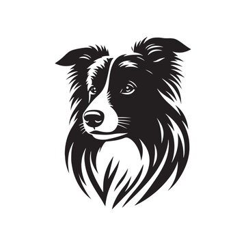 recommend clip art: Elegant Vector Border Collie Dog Silhouette Showcasing Graceful Canine Profile in Artistic Detail- Border collie Vector Stock.