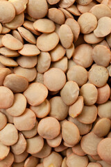 Uncooked brown lentils background. Dry brown lentil grains. Top view. Close-up