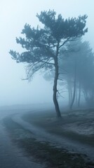 Misty pine tree in a moody landscape