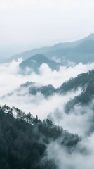 Misty mountain landscape with forest