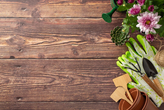 Engage in spring garden activities. Top view captures budding flowers, gardening tools, and wooden markers on a textured brown background. Perfect for adding text or promotional content