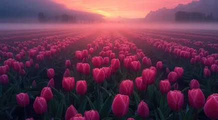 Foto op Aluminium A clouds over a field of tulips foggy during sunrise. Generative AI. © visoot