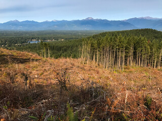 The Wildcat Staging Area Green Mountain State Forrest in Washington State