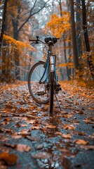 Fototapeta premium a bike in the forest