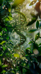 Illustrate the importance of genetic diversity in maintaining a sustainable food supply for future generations