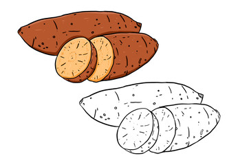 Illustration of sweet potato. Perfect for artwork, t-shirts, cards, prints, picture books, coloring books, wallpaper, prints, etc.