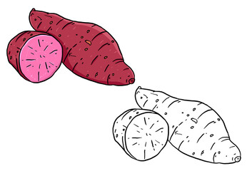 Illustration of purple sweet potatoes and sweet potato slices. Perfect for artwork, t-shirts, cards, prints, picture books, coloring books, wallpaper, prints, etc.
