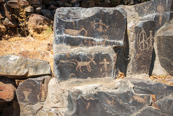 Ancient petroglyphs at Ginkgo Petrified Forest State Park in Washington State