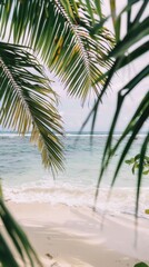 Tropical beach view through palm leaves