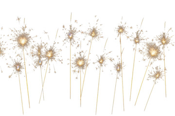 Group of Dandelions on White Background. On a White or Clear Surface PNG Transparent Background..