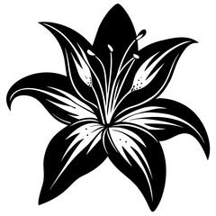 Lily Flower Vector Art Captivating Designs for Your Creative Projects