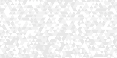 Fotobehang Vector geometric seamless technology gray and white transparent triangle background. Abstract digital grid light pattern white Polygon Mosaic triangle Background, business and corporate background. © MdLothfor
