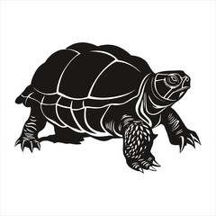 Fototapeta premium Red-Eared Slider Turtle Silhouette