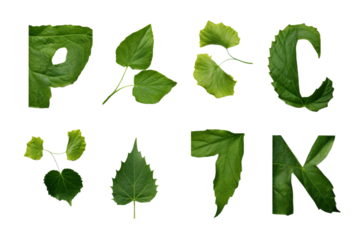 Green Leaves Forming Letters. On a White or Clear Surface PNG Transparent Background..