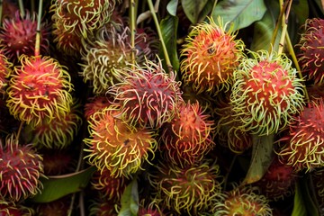 rambutan cluster with a browsing crowd