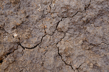 Dry soil cracks form a pattern