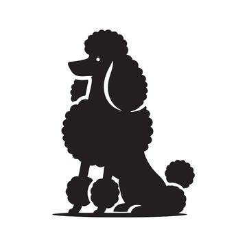 Poodle Silhouette: Elegant Canine Profile in Minimalist Design for Creative Projects- Poodle black vector stock