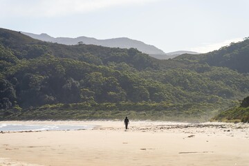 walking on australia beach in the wilderness