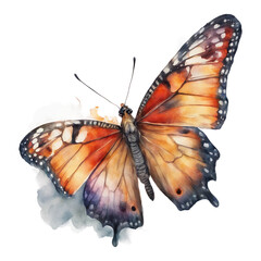 A single, vibrant butterfly with outstretched wings, captured in a detailed watercolor. White background. - obrazy, fototapety, plakaty